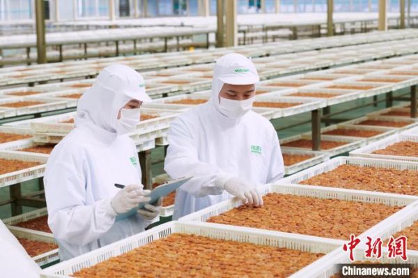 荣祺食品在大陆已有数十条流水线生产设备。　受访者供图