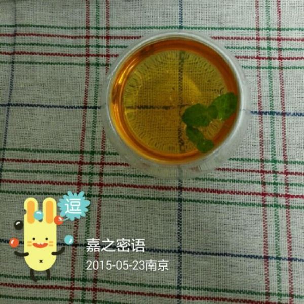 蜂蜜薄荷柠檬茶～夏日里的一抹小清新的做法