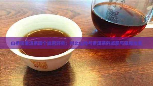 山楂和普洱茶哪个减肥好些：对比山楂与普洱茶的减肥与降脂效果