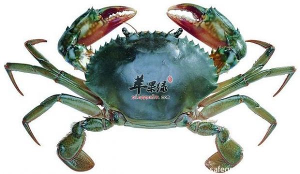 slide_pangxie-53ca73e81c9b1.jpg