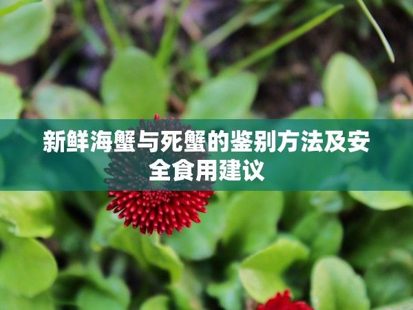 醉蟹和姜茶一起吃好吗？