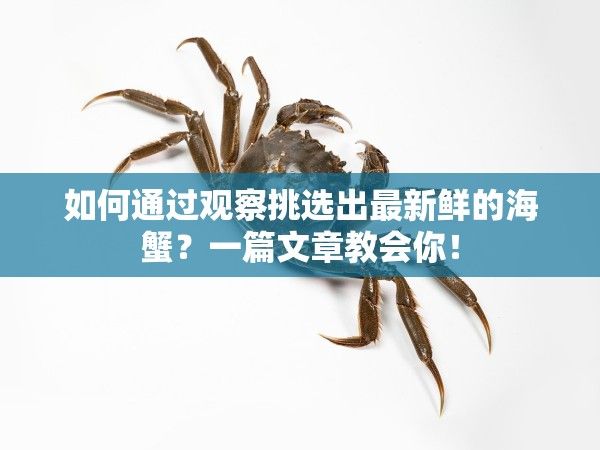 醉蟹和姜茶一起吃好吗？