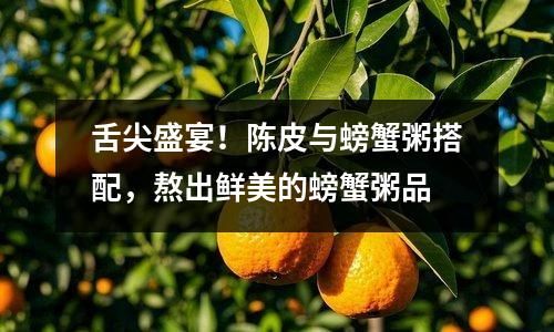 舌尖盛宴！陈皮与螃蟹粥搭配，熬出鲜美的螃蟹粥品