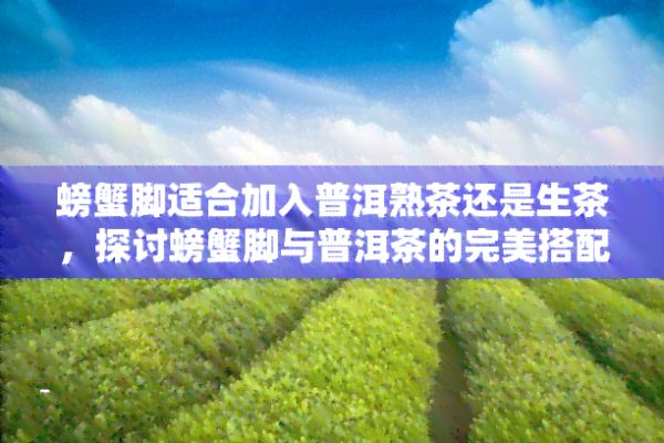 螃蟹脚适合加入普洱熟茶还是生茶，探讨螃蟹脚与普洱茶的完美搭配：适合加入熟茶还是生茶？