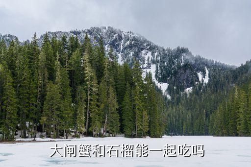  大閘蟹和石榴能一起吃嗎