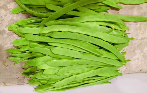芸豆与相克食物对比图
