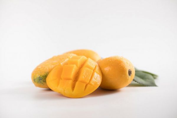 吃芒果不能吃什么