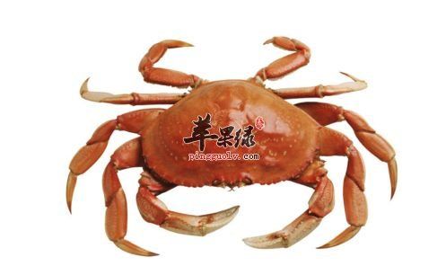 螃蟹和什么食物不能够一起吃呢