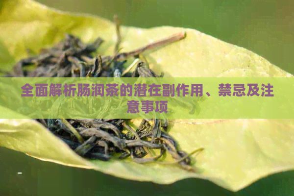 全面解析肠润茶的潜在副作用、禁忌及注意事项