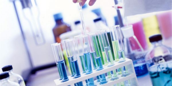 湖北项目保健食品安全性评价什么价格,保健食品安全性评价