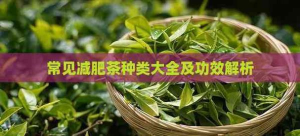 常见减肥茶种类大全及功效解析