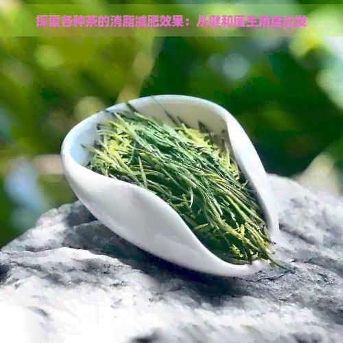 探索各种茶的消脂减肥效果：从健和医生角度出发