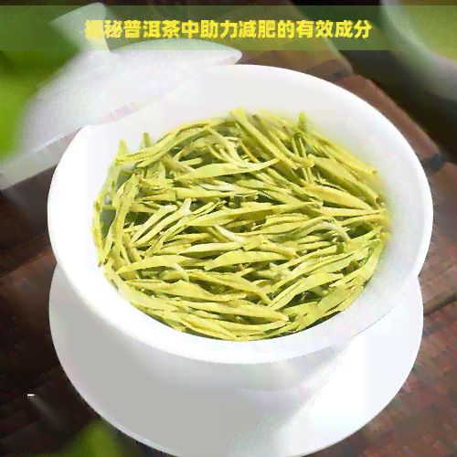 揭秘普洱茶中助力减肥的有效成分