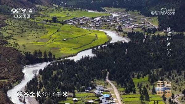《走遍中國(guó)》林芝印象（上）