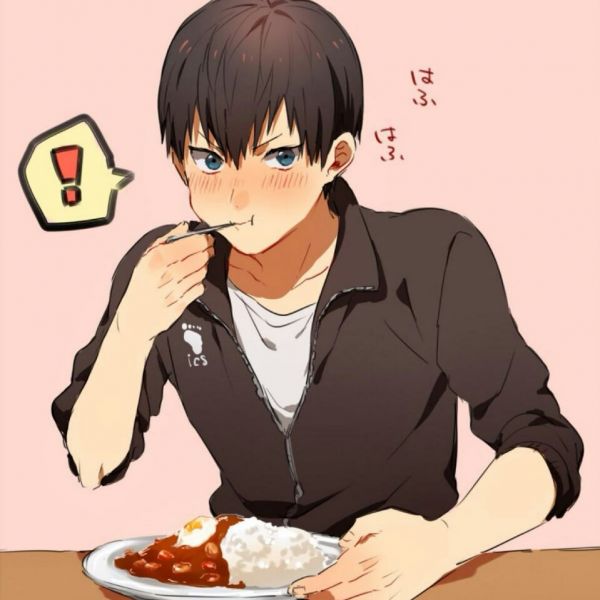 净食机厂家招代理