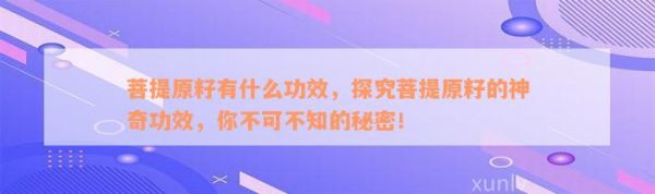 菩提原籽有什么功效，探究菩提原籽的神奇功效，你不可不知的秘密！