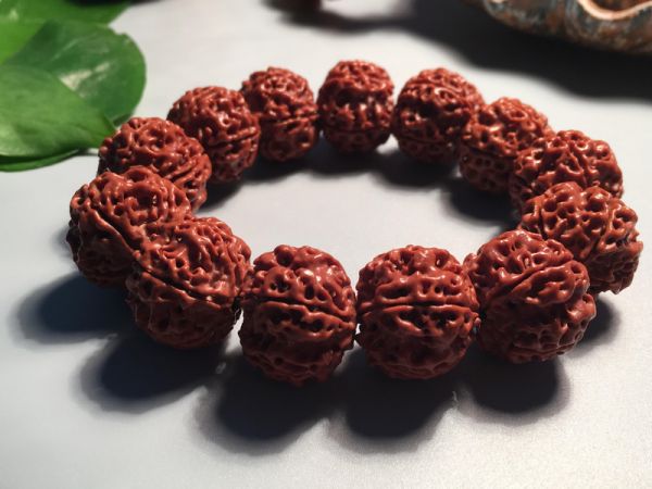 紫金鼠菩提和金钢菩提哪个贵
