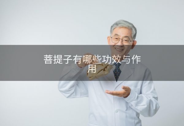 菩提子有哪些功效与作用