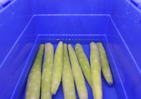 11.png净菜配送