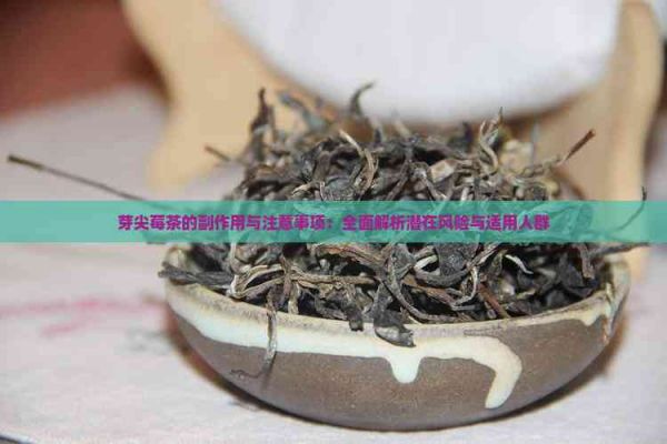 芽尖莓茶的副作用与注意事项：全面解析潜在风险与适用人群