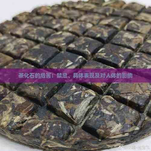 茶化石的危害：禁忌、具体表现及对人体的影响