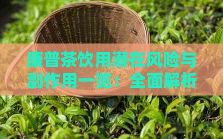 康普茶饮用潜在风险与副作用一览：全面解析其利与弊
