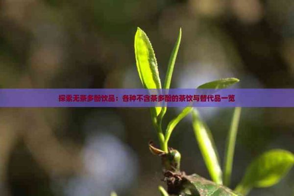 探索无茶多酚饮品：各种不含茶多酚的茶饮与替代品一览
