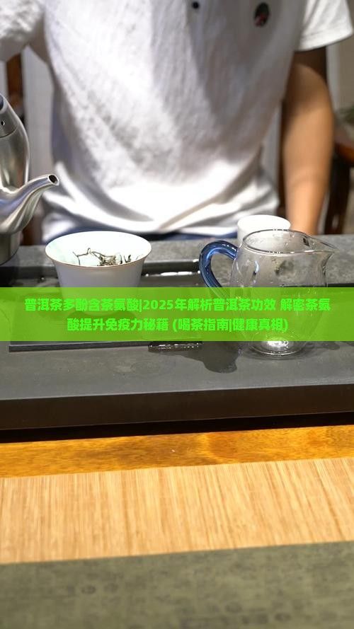 普洱茶多酚含茶氨酸