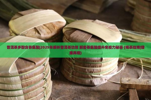 普洱茶多酚含茶氨酸