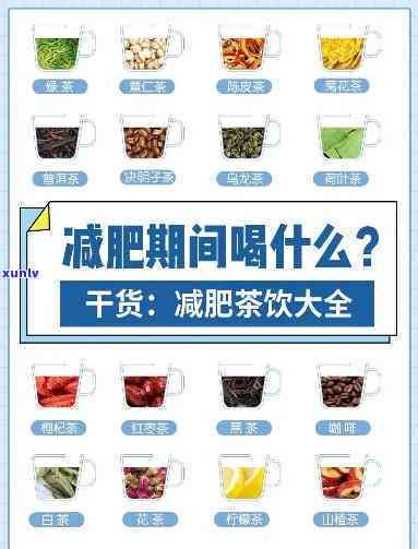 最有助于减肥的茶，揭示减肥茶：哪种茶饮最有助于你达成目标？