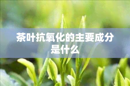 茶叶抗氧化的主要成分是什么