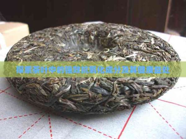 探索茶叶中的强效抗氧化成分及其健康益处