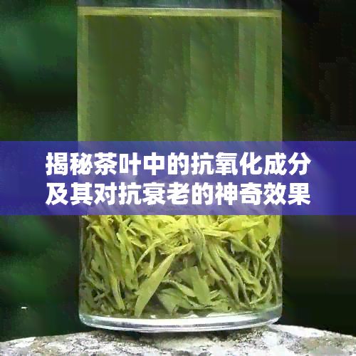 揭秘茶叶中的抗氧化成分及其对抗衰老的神奇效果