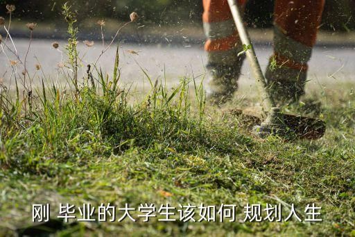 刚 毕业的大学生该如何 规划人生