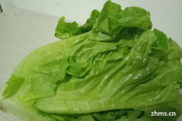减肥的蔬菜餐