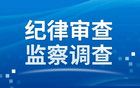 他接受纪律审查和监察调查