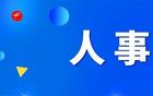 重要人事任命！2人接受审查调查，2人被“双开”