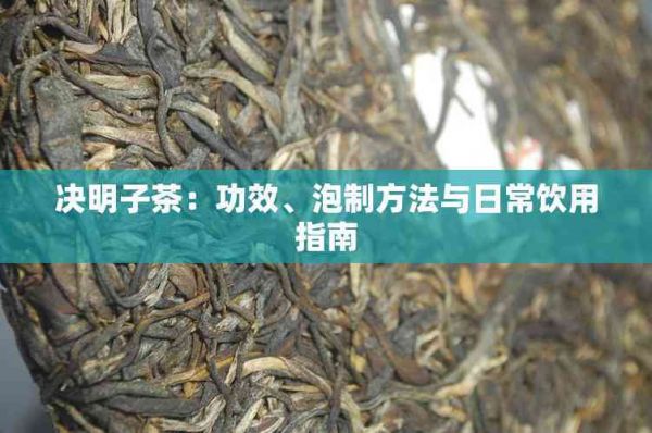 决明子茶：功效、泡制方法与日常饮用指南