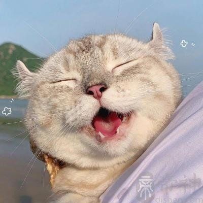 晨跑群名字怎么取名