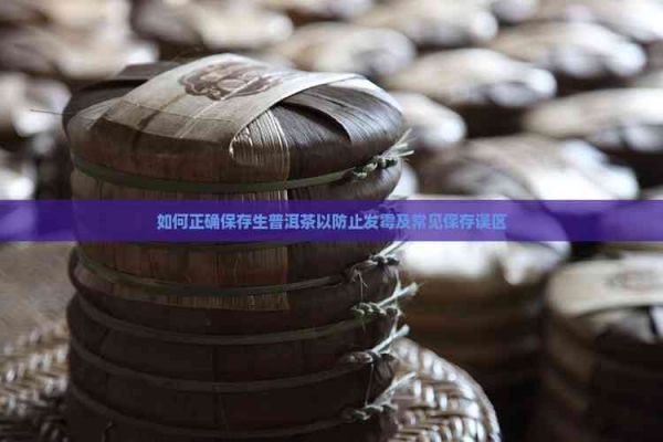 如何正确保存生普洱茶以防止发霉及常见保存误区
