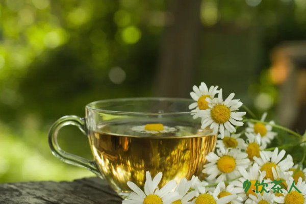 菊花茶怎么泡，四大步骤掌握正确冲泡方法(花香四溢)
