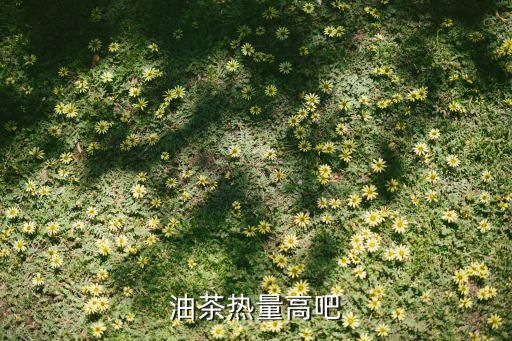 油茶热量高吧