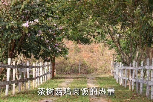 茶树菇鸡肉饭的热量