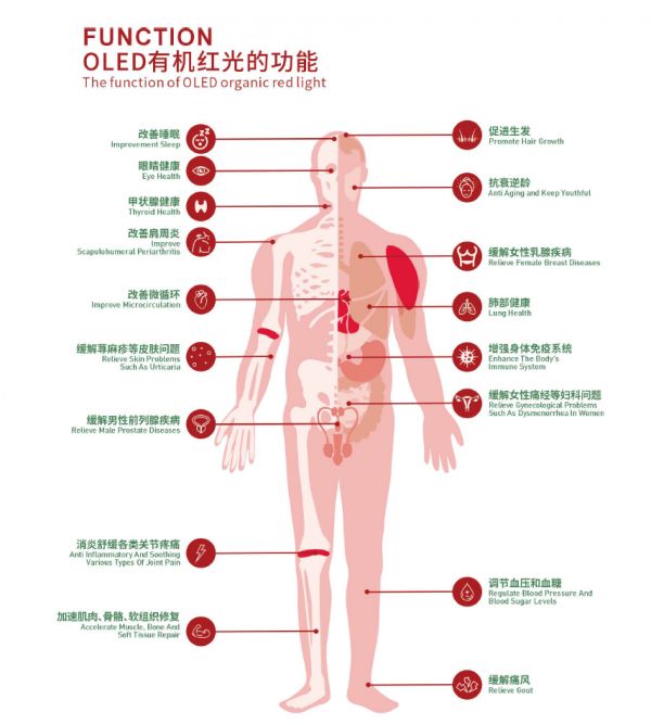 图片6