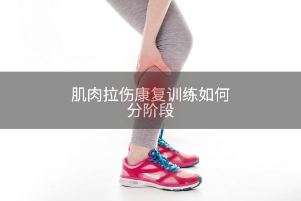肌肉拉伤康复训练如何分阶段