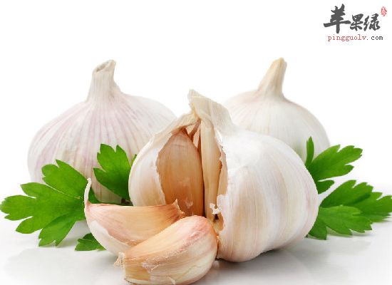 可以提高我们身体免疫力的食物有哪些