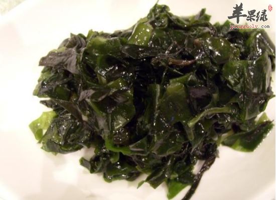 可以提高我们身体免疫力的食物有哪些