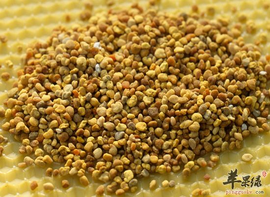 可以提高我们身体免疫力的食物有哪些