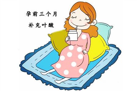 叶酸帮助细胞分裂