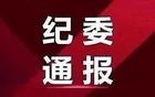 河北李丽被开除党籍、开除公职！